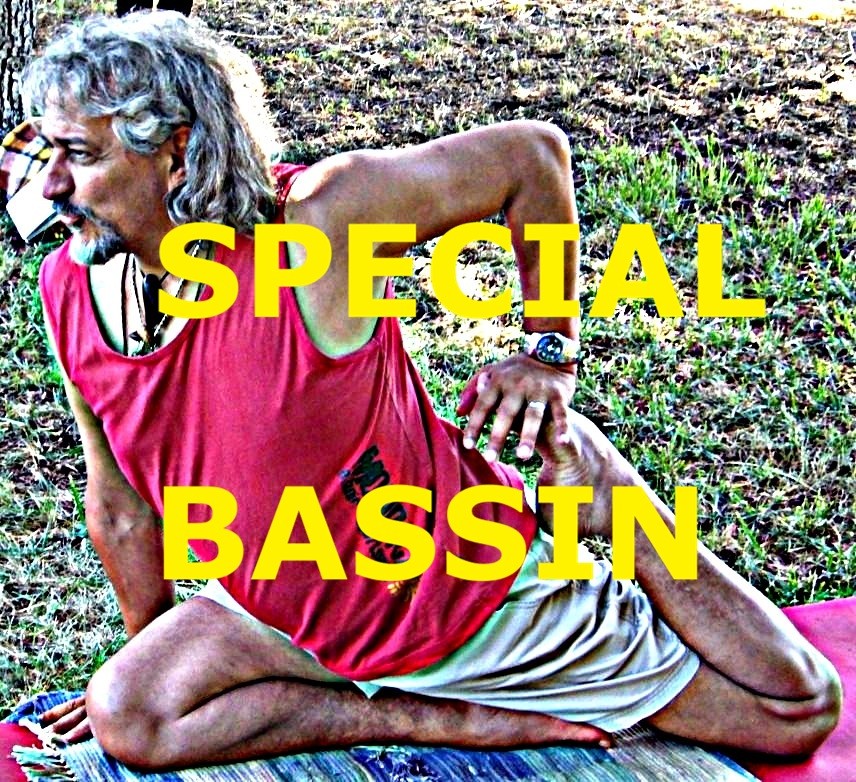 drish187-188-special-bassin